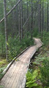 boardwalks