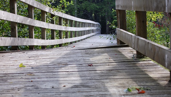 Bridge to the marsh